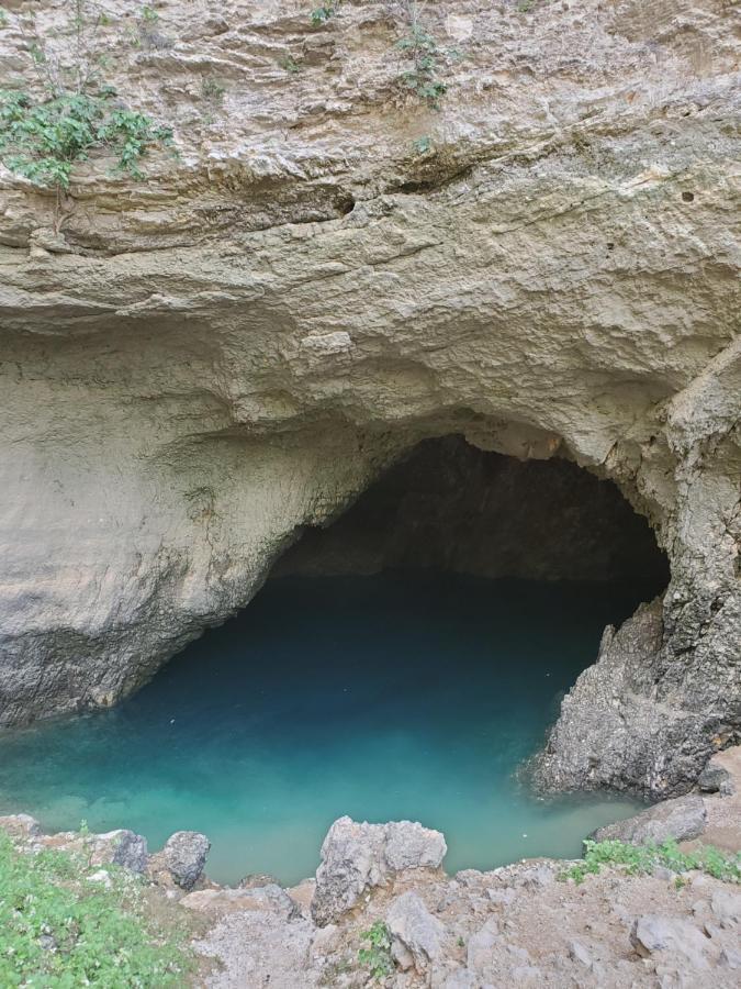 La Fontaine Au Loup Ξενοδοχείο Saint-Maurice-sur-Eygues Εξωτερικό φωτογραφία