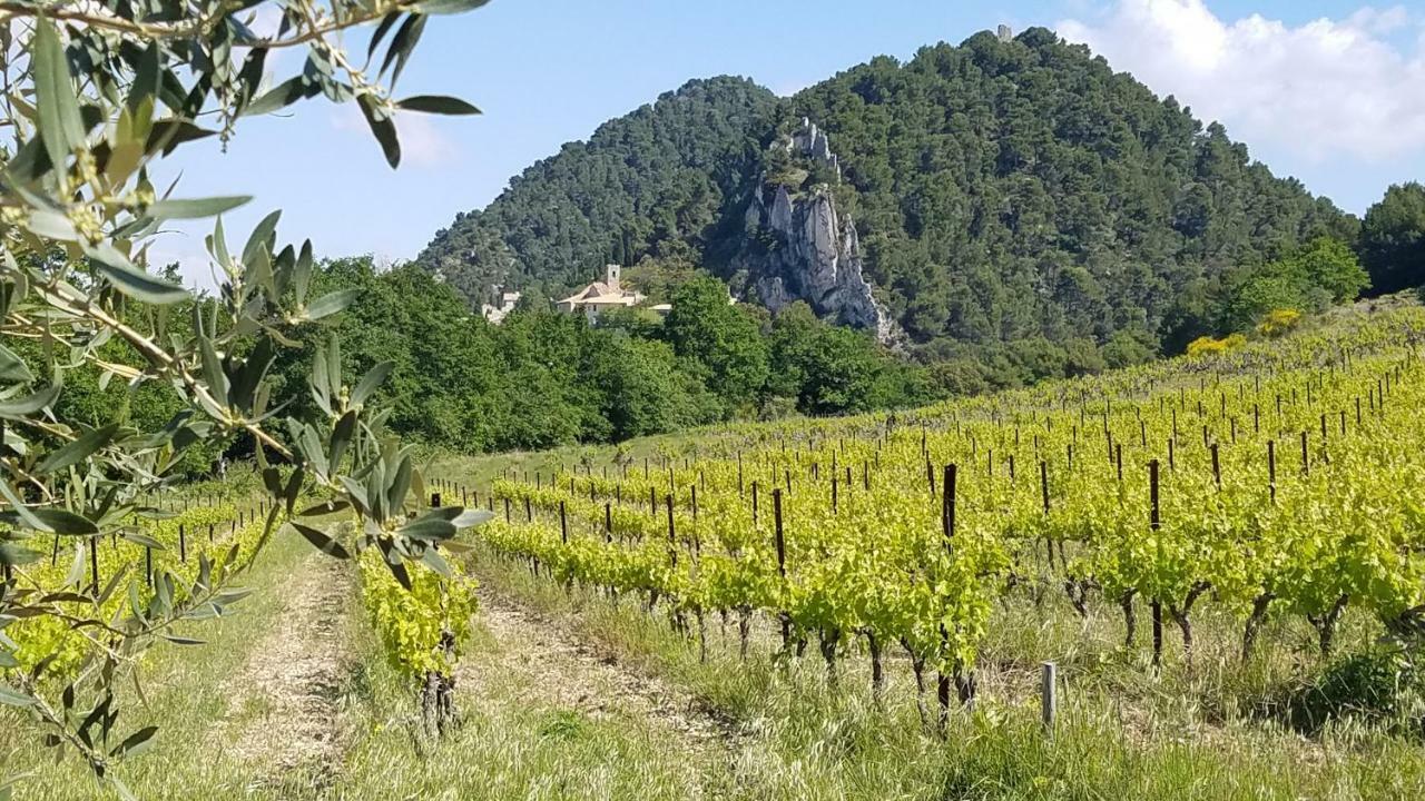 La Fontaine Au Loup Ξενοδοχείο Saint-Maurice-sur-Eygues Εξωτερικό φωτογραφία
